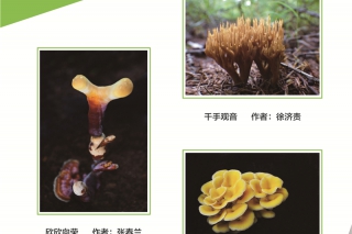 2016第三届中国ManBetX体育摄影作品展 (1)