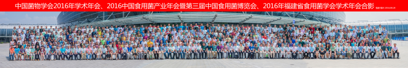 合影照（最终）