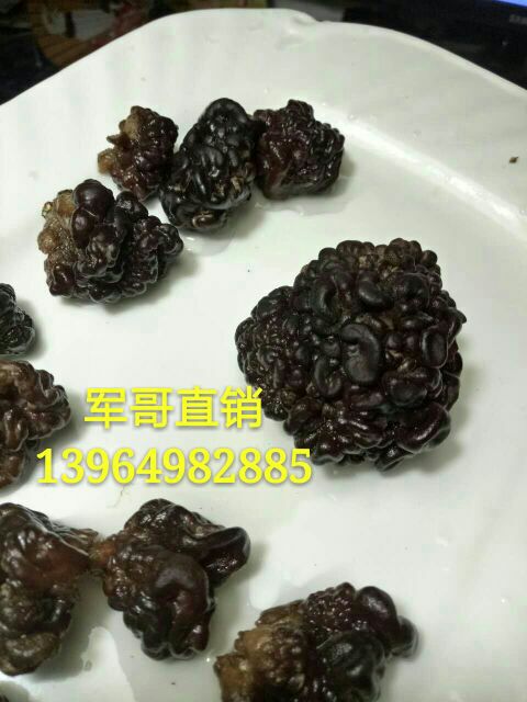 1473084186056_1472884324363_mmexport1470749146044