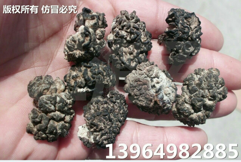 1472434975226_1472222990705_1469399711108