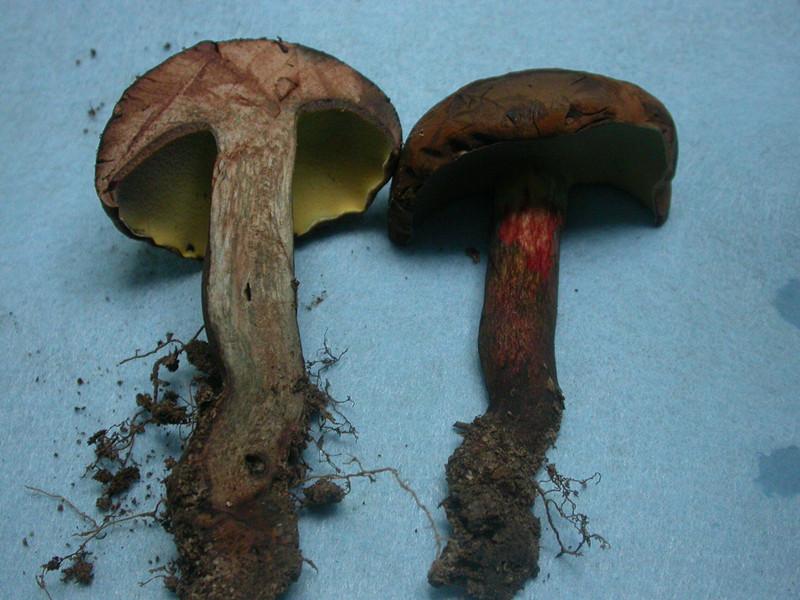 20160927135233873_9392004