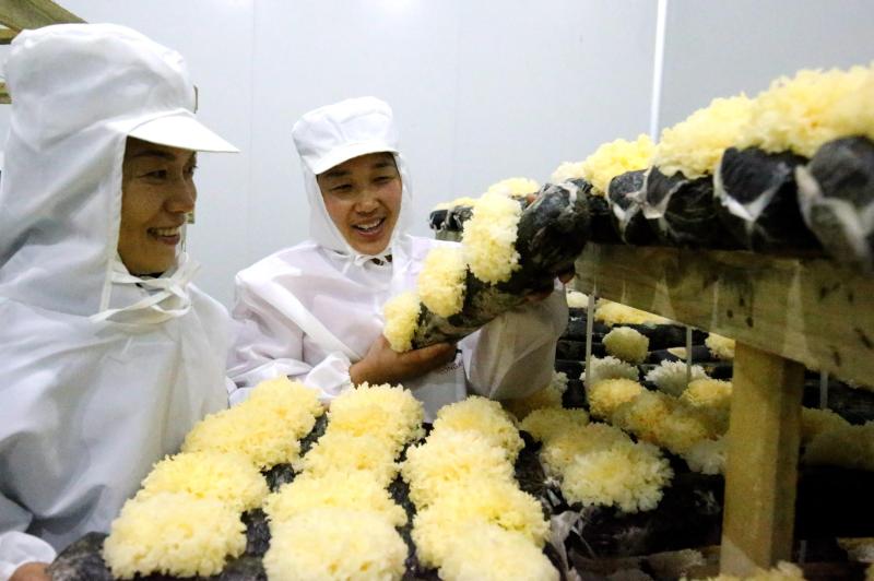 100336217_0000080037c61272