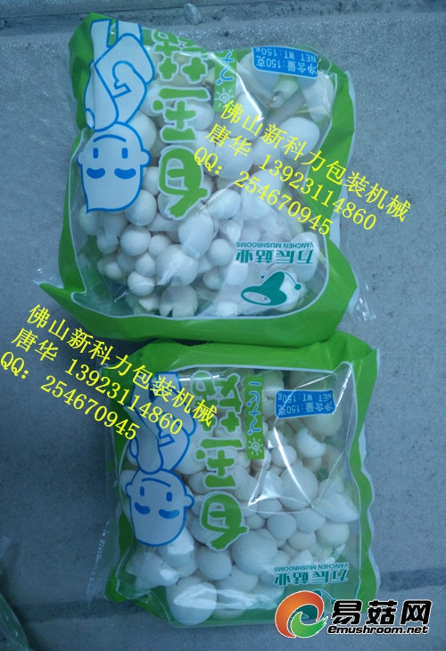 ManBetX体育5132_副本