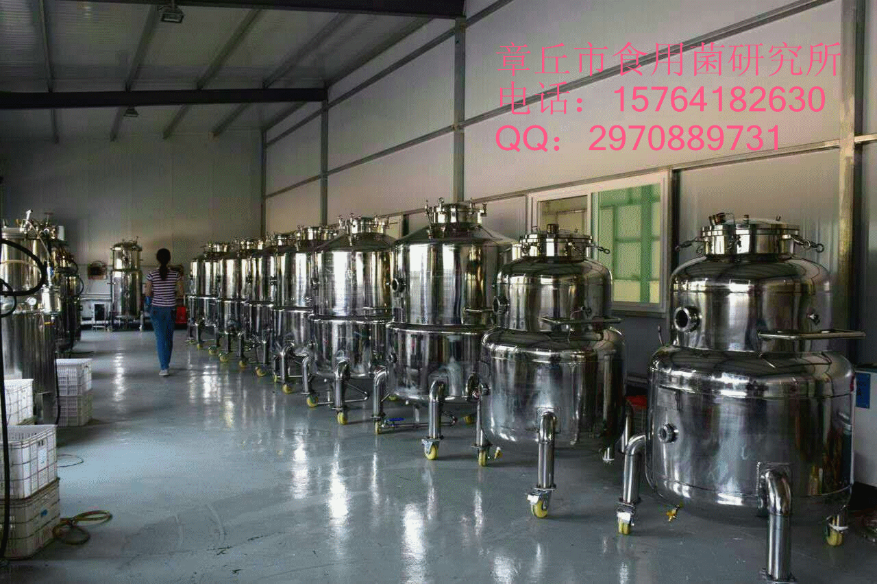 ManBetX体育液体菌种发酵罐304双层不锈钢