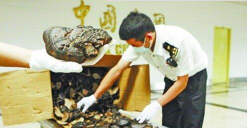 QQ截图20161029140226