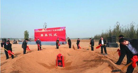 QQ截图20161107105555