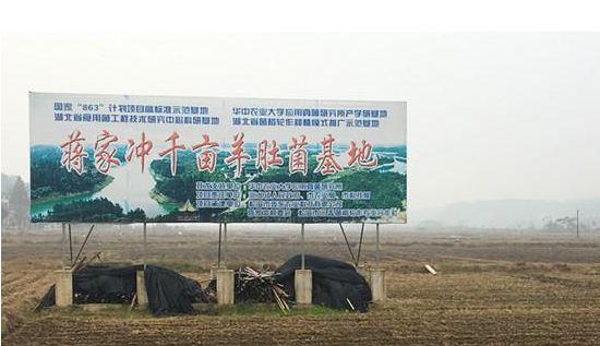 QQ截图20161121101251