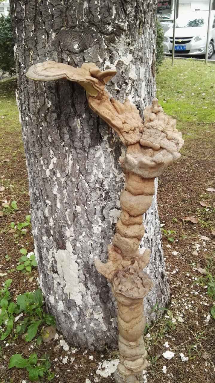 061ae867cd3c89c27053c1d3696dce8a_