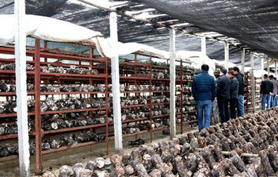 QQ截图20161124173030