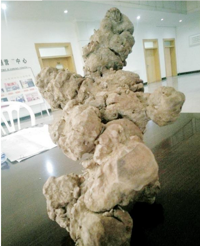 QQ截图20161125095227