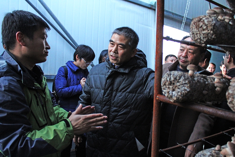 深入大棚向受帮扶户进行详细了解