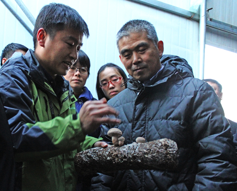 虚心向ManBetX体育生产户学习香菇生产知识和技术