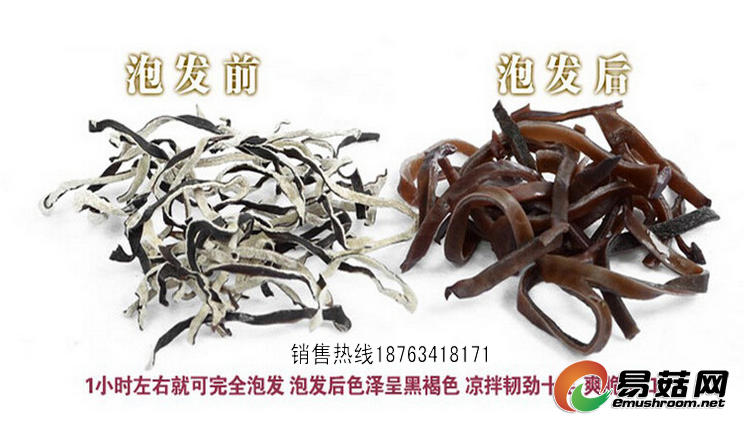 QQ图片20150416134431_conew1