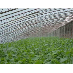 哪儿有比较好的蔬菜温室大棚搭建 菜菌一体温室大棚造价