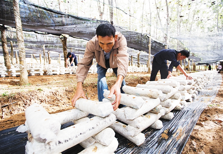 1119994435_14801228114871n