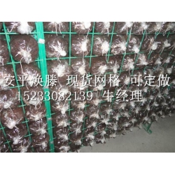 畅销的蘑菇网架上哪买    ：蘑菇网架