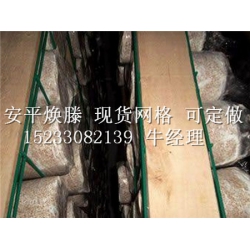 哪里买精良的蘑菇网片 |杏鲍菇网格