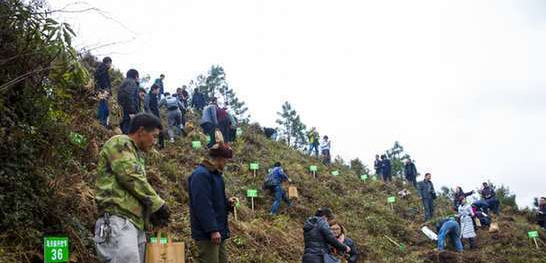 QQ截图20161214152050