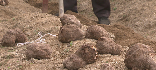 QQ截图20161220105141