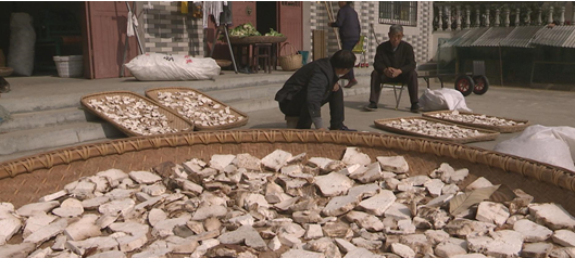 QQ截图20161220105155