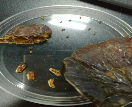 00300377399_a91e654d