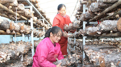 QQ截图20161223163024