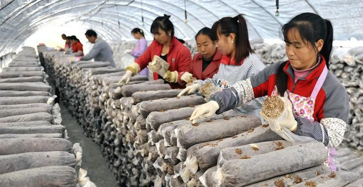 QQ截图20161224170047