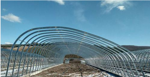 QQ截图20161227162631