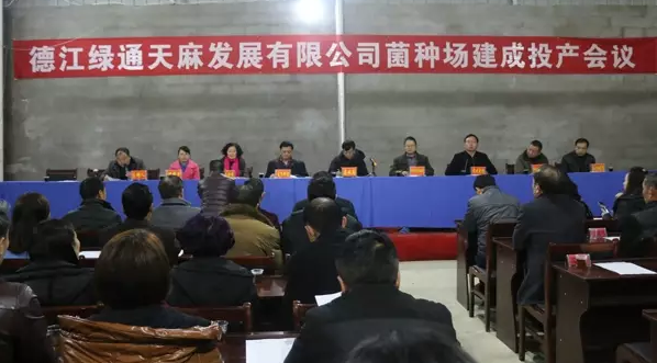 QQ截图20161228091924