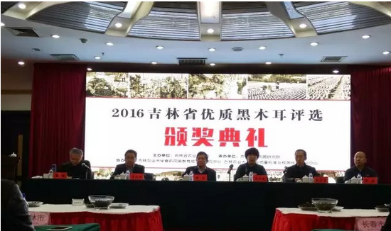 QQ截图20161229150128