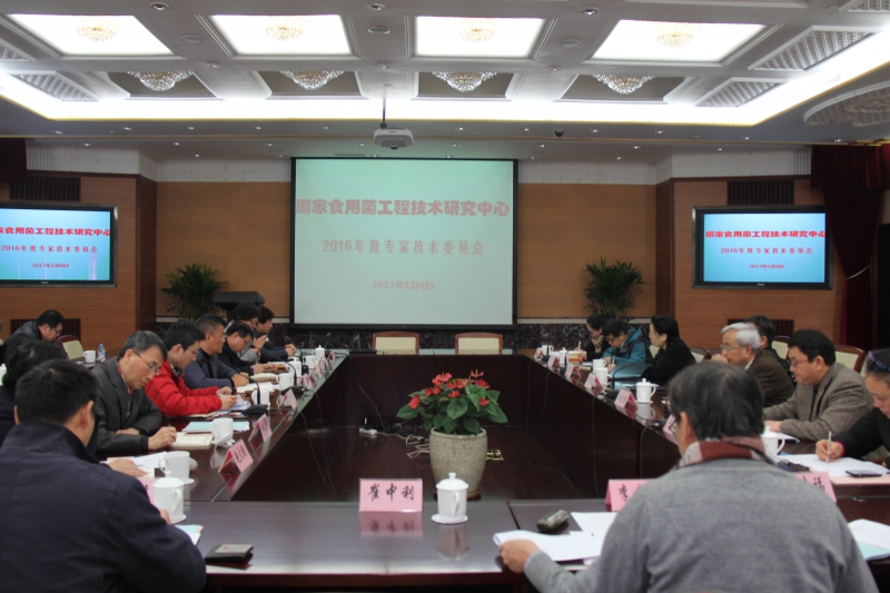 Editor_201719135915318