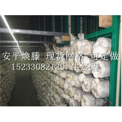 衡水专业Manbetx体育手机版V17版本发布.官网安卓网.香港架厂家_浙江出菇房网架