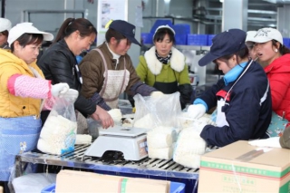 威宁雪榕ManBetX体育产业园复工复产忙