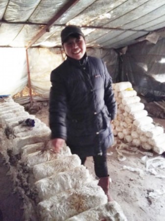 00301540039_0f60b92b