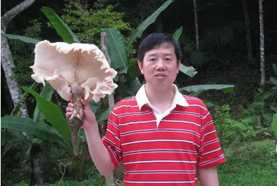 QQ截图20170209091742