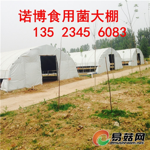 SubstandardFullSizeRender(13)_副本