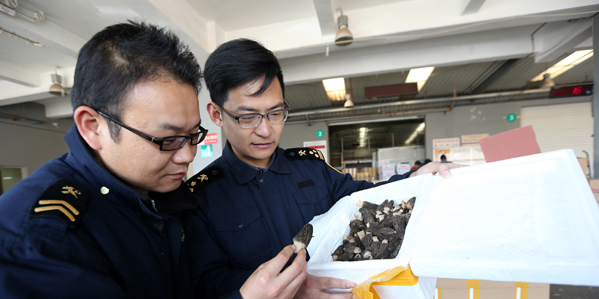 QQ截图20170221095856