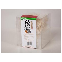 哪儿有鲜嫩的绣球菌批发市场_福建绣球菌