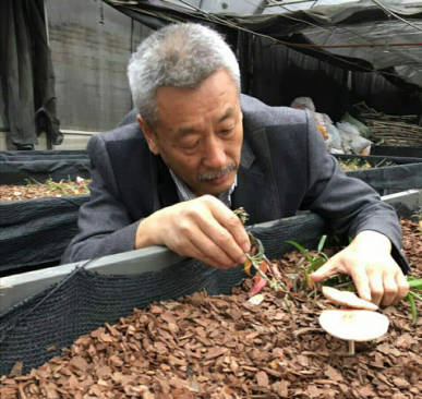 1120510660_14877441911871n