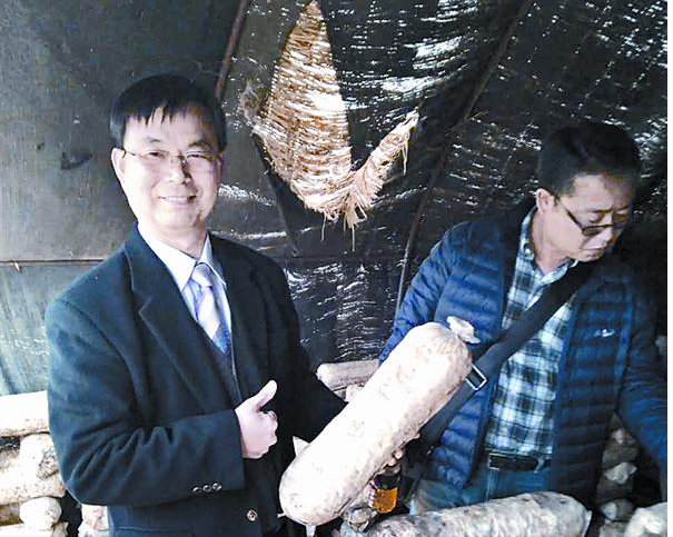 QQ截图20170227085541