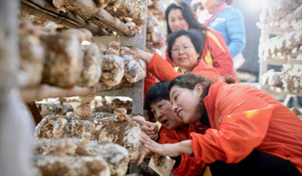 QQ截图20170227143756