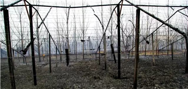 QQ截图20170301143541