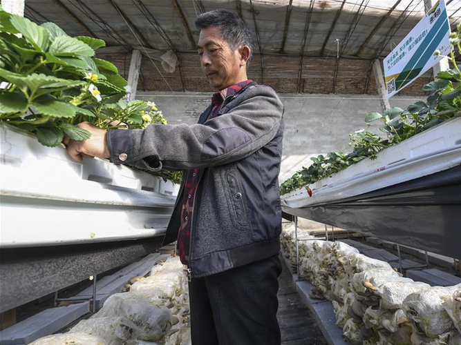 QQ截图20170302085851