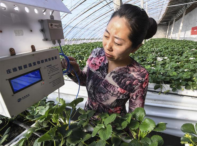 QQ截图20170302085907