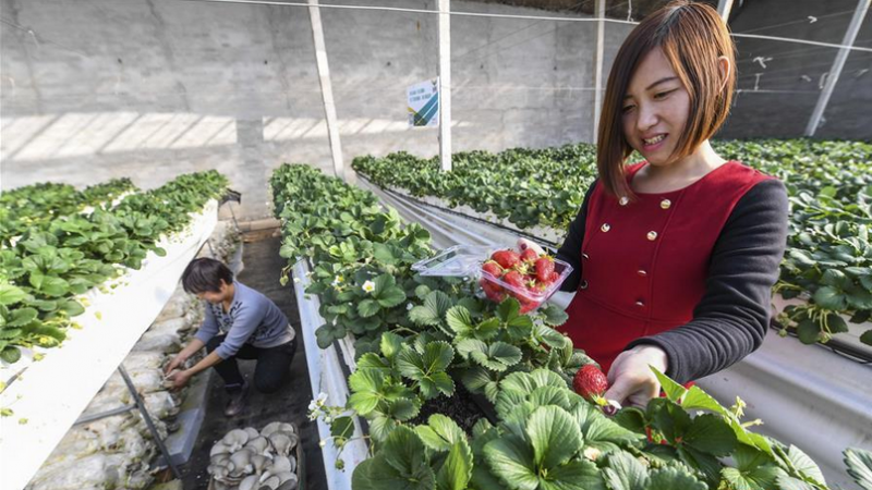 QQ截图20170302085926