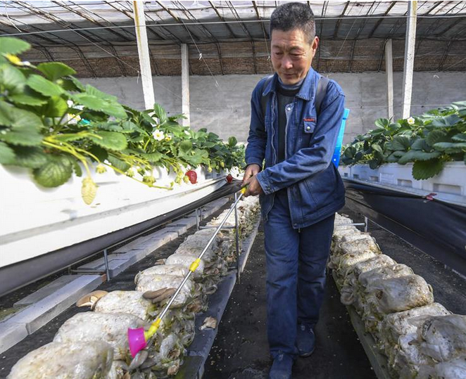 QQ截图20170302085949