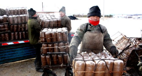 QQ截图20170302174938