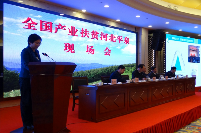 承德市人民政府市长常丽虹介绍全市产业扶贫工作情况