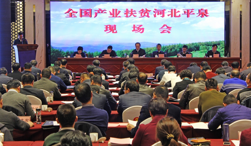 特色优势产业带动脱贫典型范例单位汇报发言