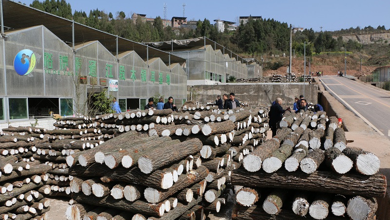 QQ截图20170309110150